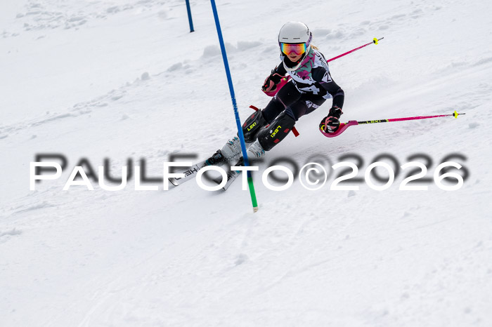 DSV - Actanol Deutscher Schülercup U12 Finale SLX 2026