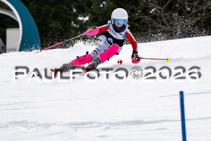 DSV - Actanol Deutscher Schülercup U12 Finale SLX 2026