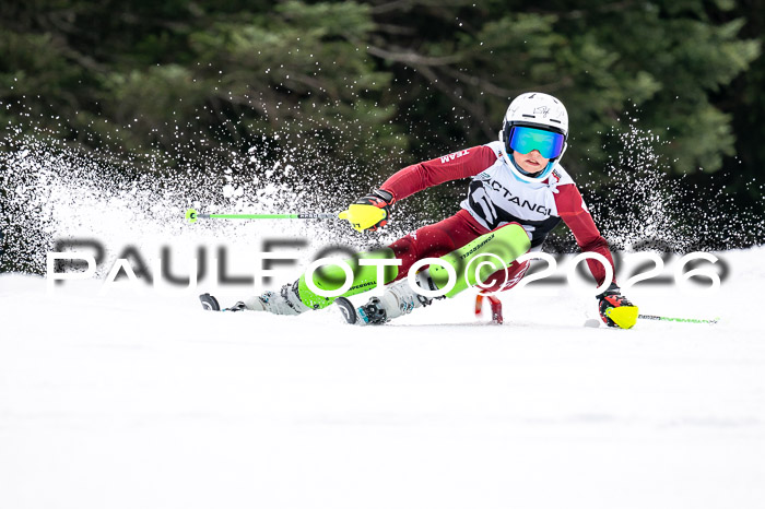 DSV - Actanol Deutscher Schülercup U12 Finale SLX 2026