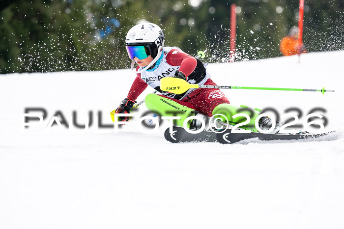 DSV - Actanol Deutscher Schülercup U12 Finale SLX 2026