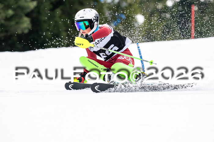 DSV - Actanol Deutscher Schülercup U12 Finale SLX 2026