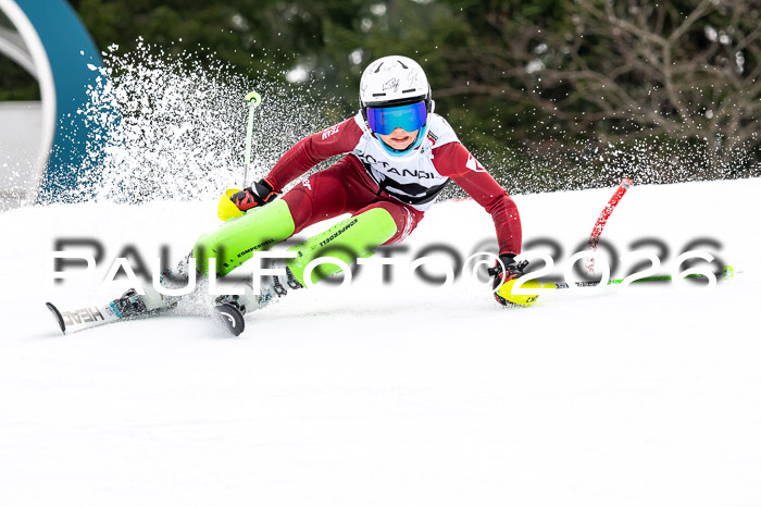 DSV - Actanol Deutscher Schülercup U12 Finale SLX 2026