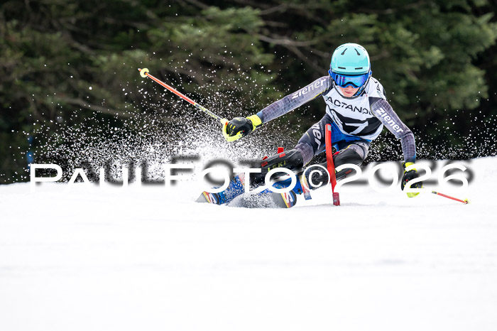 DSV - Actanol Deutscher Schülercup U12 Finale SLX 2026