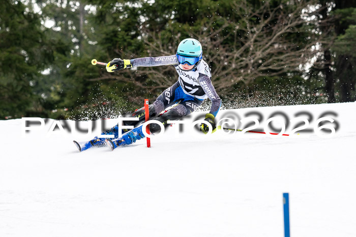 DSV - Actanol Deutscher Schülercup U12 Finale SLX 2026