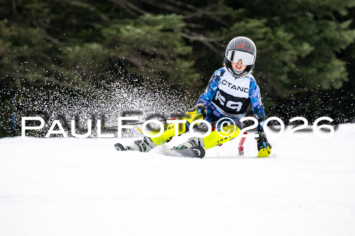 DSV - Actanol Deutscher Schülercup U12 Finale SLX 2026