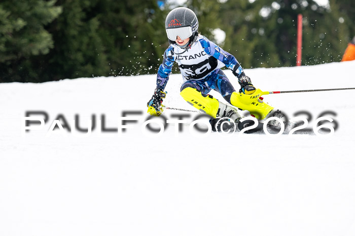 DSV - Actanol Deutscher Schülercup U12 Finale SLX 2026