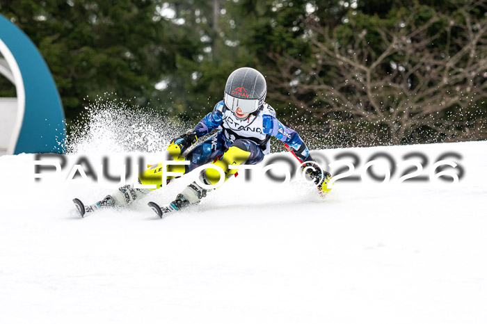 DSV - Actanol Deutscher Schülercup U12 Finale SLX 2026