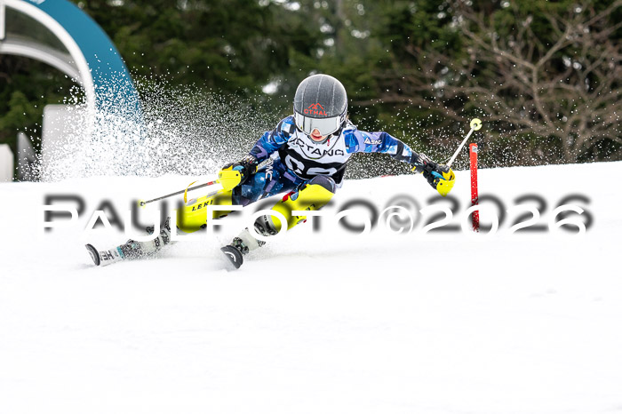 DSV - Actanol Deutscher Schülercup U12 Finale SLX 2026