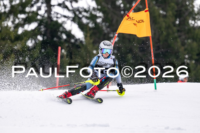 DSV - Actanol Deutscher Schülercup U12 Finale SLX 2026