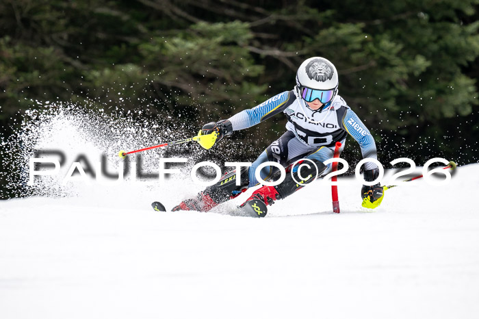 DSV - Actanol Deutscher Schülercup U12 Finale SLX 2026