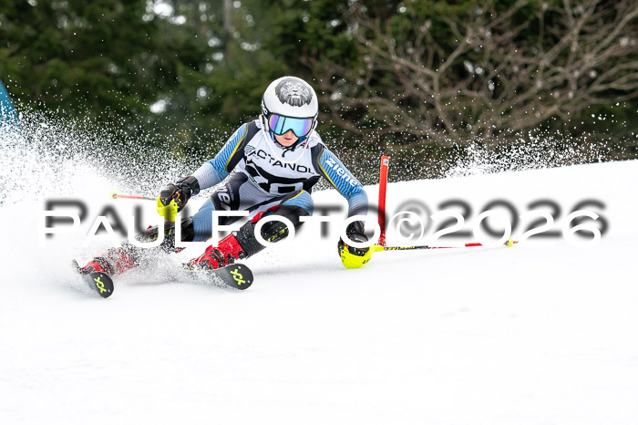 DSV - Actanol Deutscher Schülercup U12 Finale SLX 2026