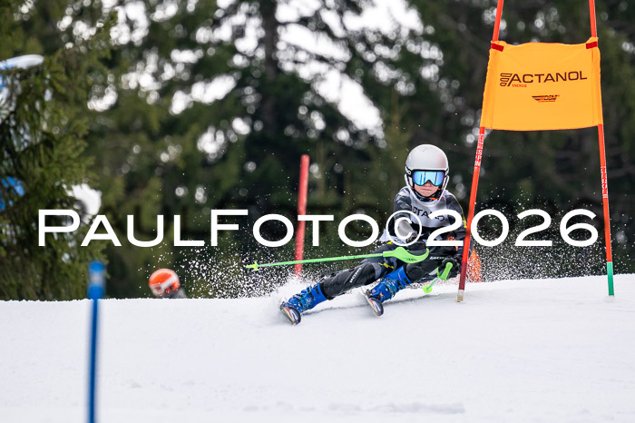 DSV - Actanol Deutscher Schülercup U12 Finale SLX 2026