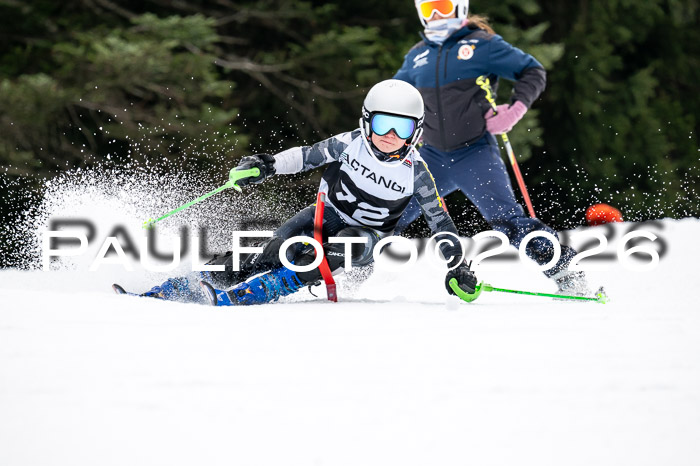 DSV - Actanol Deutscher Schülercup U12 Finale SLX 2026