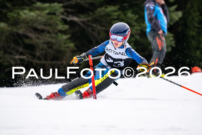 DSV - Actanol Deutscher Schülercup U12 Finale SLX 2026