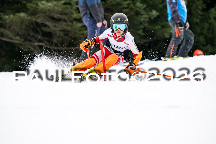 DSV - Actanol Deutscher Schülercup U12 Finale SLX 2026