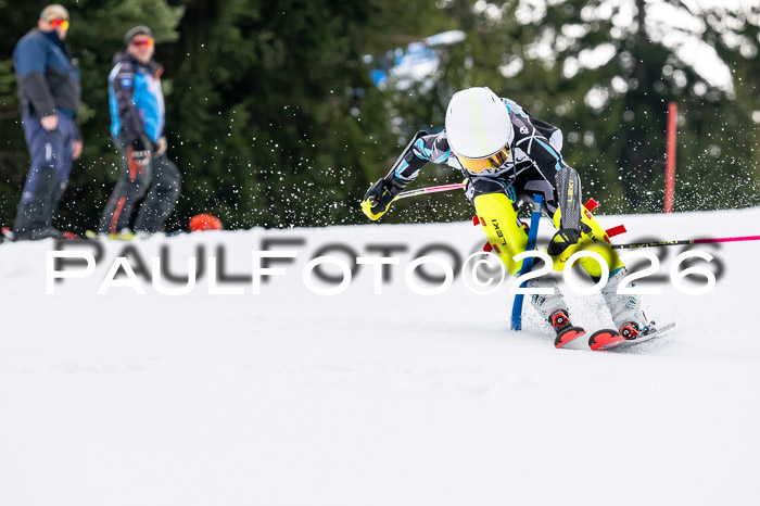 DSV - Actanol Deutscher Schülercup U12 Finale SLX 2026