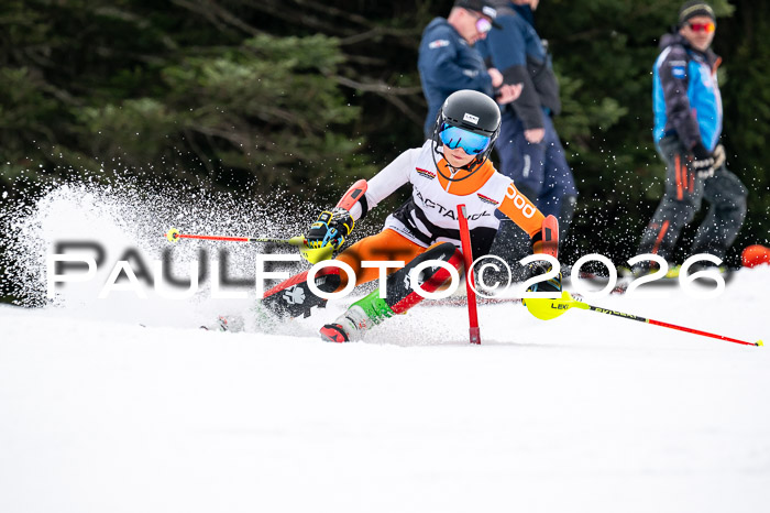 DSV - Actanol Deutscher Schülercup U12 Finale SLX 2026