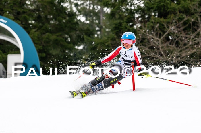 DSV - Actanol Deutscher Schülercup U12 Finale SLX 2026