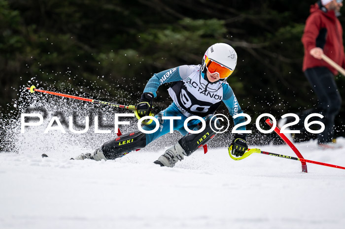 DSV - Actanol Deutscher Schülercup U12 Finale SLX 2026