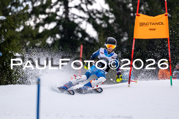 DSV - Actanol Deutscher Schülercup U12 Finale SLX 2026