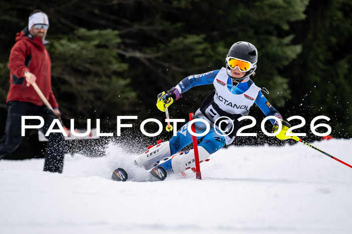 DSV - Actanol Deutscher Schülercup U12 Finale SLX 2026