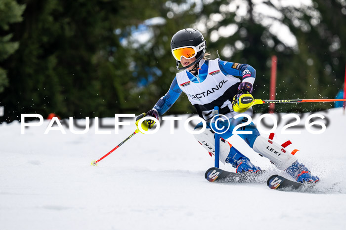 DSV - Actanol Deutscher Schülercup U12 Finale SLX 2026