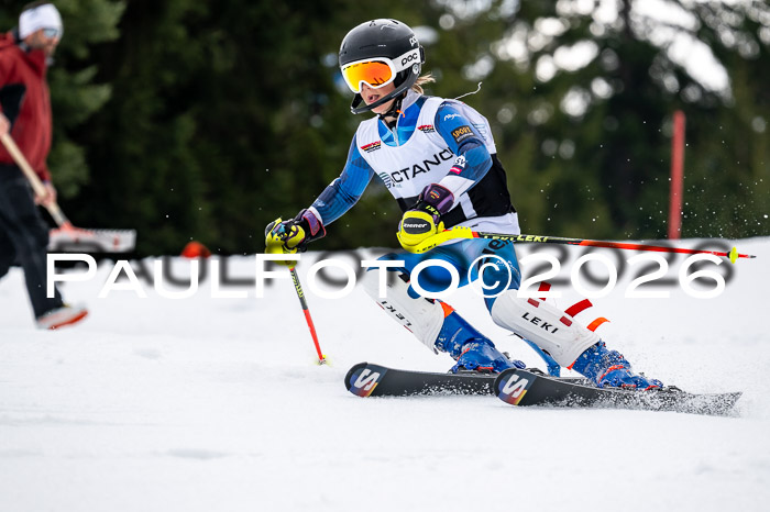 DSV - Actanol Deutscher Schülercup U12 Finale SLX 2026