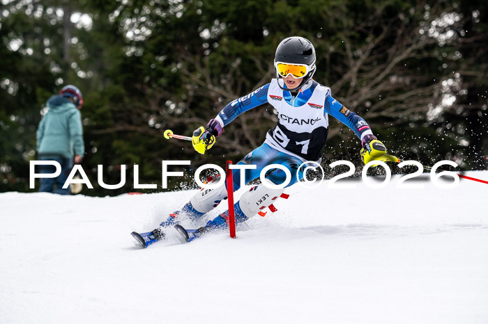 DSV - Actanol Deutscher Schülercup U12 Finale SLX 2026