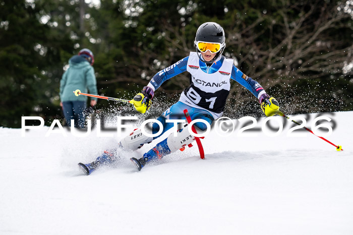 DSV - Actanol Deutscher Schülercup U12 Finale SLX 2026