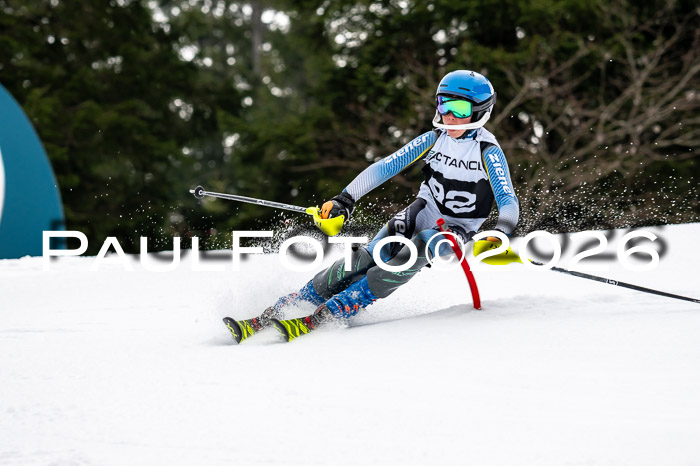 DSV - Actanol Deutscher Schülercup U12 Finale SLX 2026