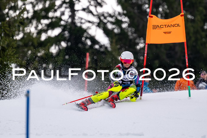 DSV - Actanol Deutscher Schülercup U12 Finale SLX 2026