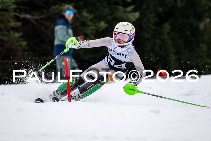 DSV - Actanol Deutscher Schülercup U12 Finale SLX 2026