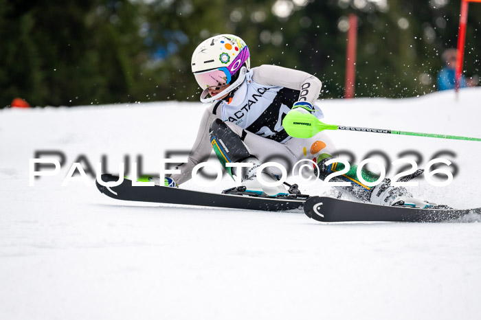 DSV - Actanol Deutscher Schülercup U12 Finale SLX 2026