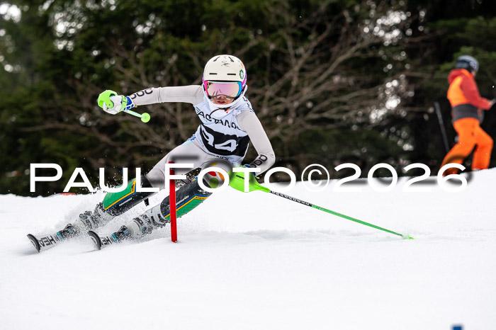 DSV - Actanol Deutscher Schülercup U12 Finale SLX 2026