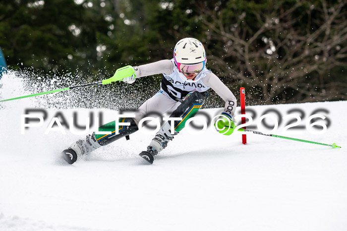 DSV - Actanol Deutscher Schülercup U12 Finale SLX 2026