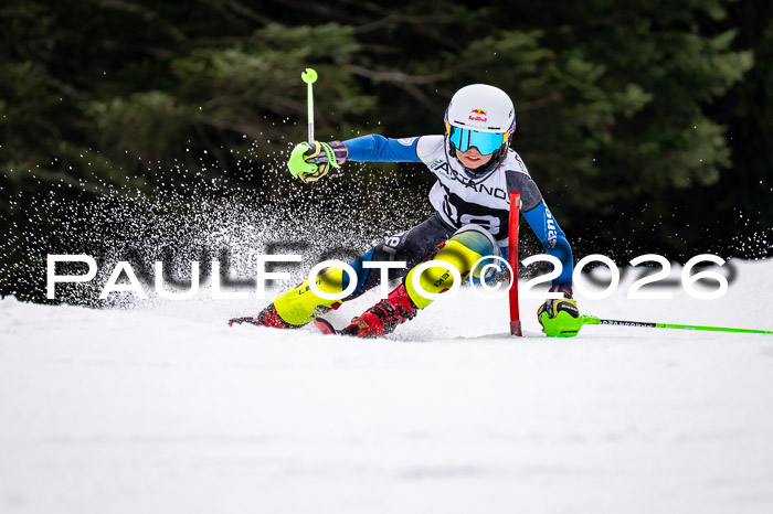 DSV - Actanol Deutscher Schülercup U12 Finale SLX 2026