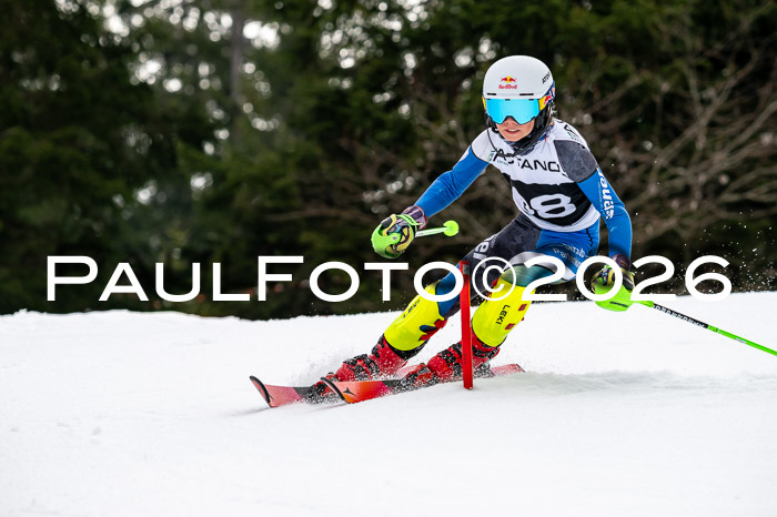DSV - Actanol Deutscher Schülercup U12 Finale SLX 2026