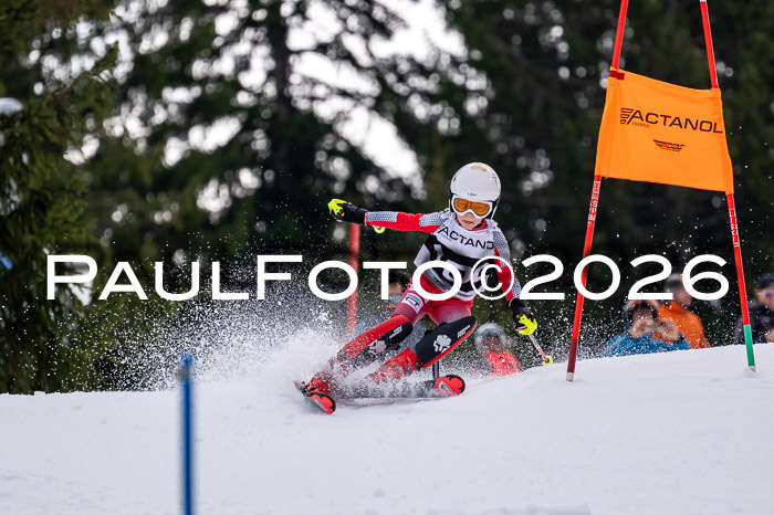 DSV - Actanol Deutscher Schülercup U12 Finale SLX 2026