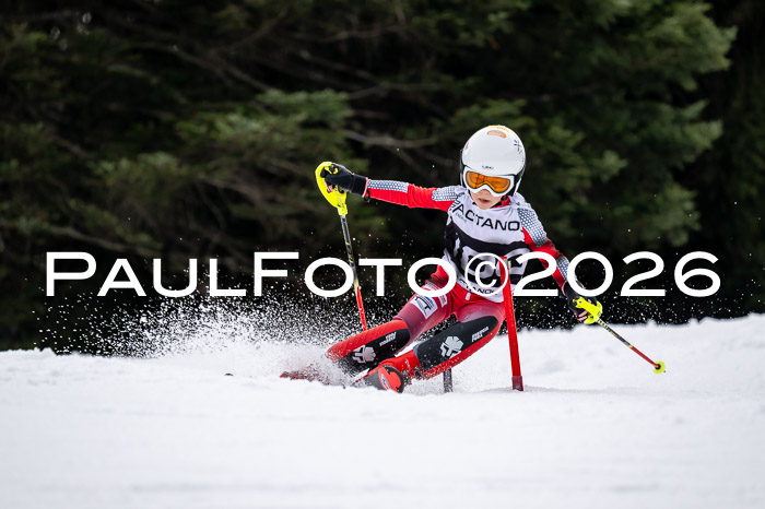 DSV - Actanol Deutscher Schülercup U12 Finale SLX 2026