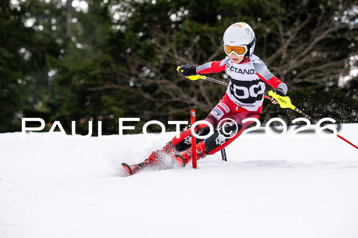 DSV - Actanol Deutscher Schülercup U12 Finale SLX 2026