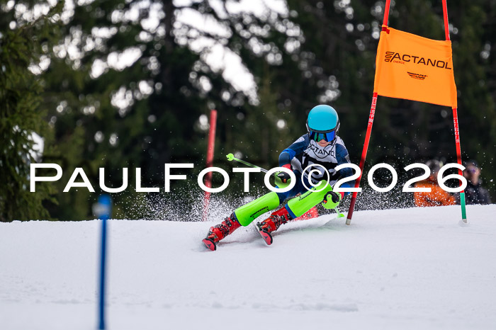 DSV - Actanol Deutscher Schülercup U12 Finale SLX 2026