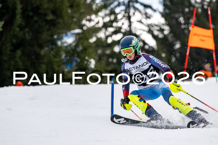 DSV - Actanol Deutscher Schülercup U12 Finale SLX 2026