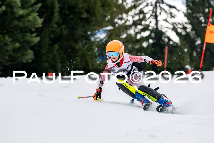 DSV - Actanol Deutscher Schülercup U12 Finale SLX 2026