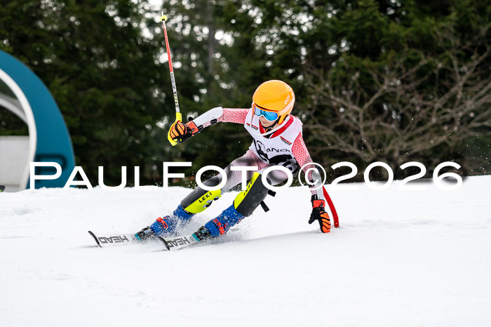 DSV - Actanol Deutscher Schülercup U12 Finale SLX 2026