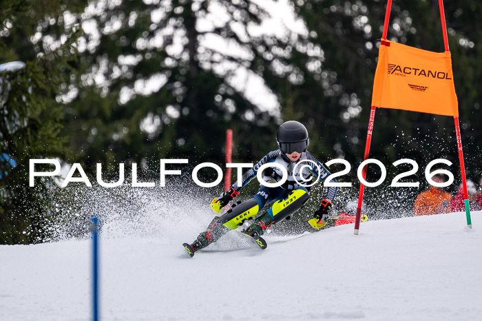 DSV - Actanol Deutscher Schülercup U12 Finale SLX 2026