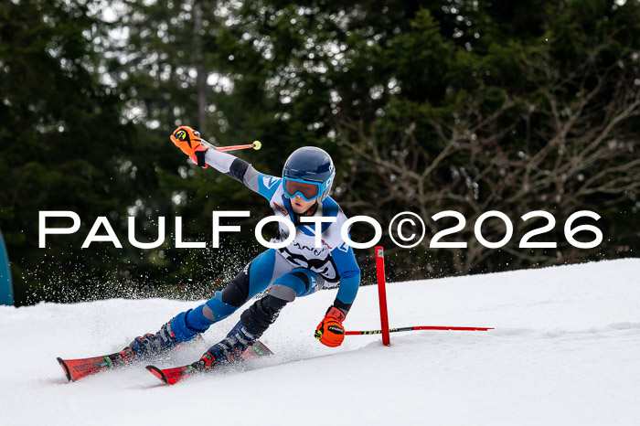 DSV - Actanol Deutscher Schülercup U12 Finale SLX 2026
