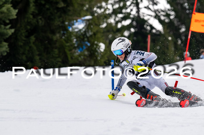 DSV - Actanol Deutscher Schülercup U12 Finale SLX 2026