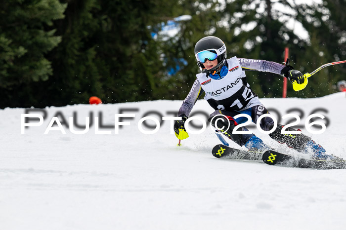 DSV - Actanol Deutscher Schülercup U12 Finale SLX 2026