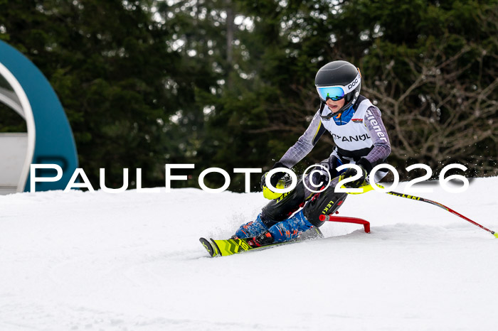DSV - Actanol Deutscher Schülercup U12 Finale SLX 2026