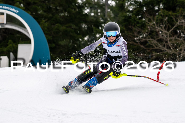 DSV - Actanol Deutscher Schülercup U12 Finale SLX 2026